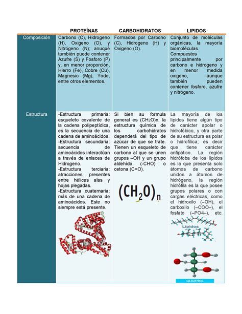 Macromoléculas Naturales y Sintéticas : Las Macromoléculas y su ...