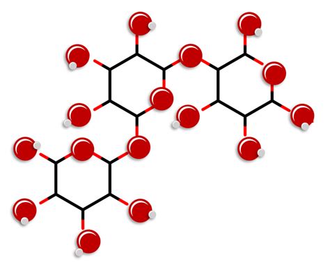 Macromoléculas – La estructura química de las moléculas y su ...