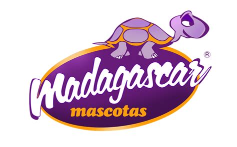 Madagascar Mascotas   Blog de Madagascar Mascotas