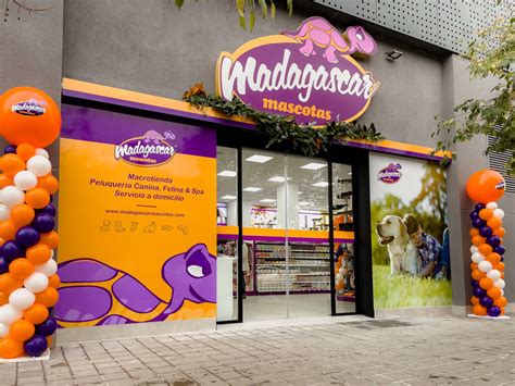 Madagascar Mascotas inaugura su octava tienda en Alicante   Alicante   COPE
