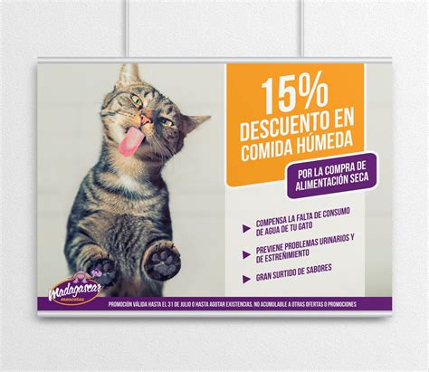 Madagascar Mascotas – Publicidad en el punto de venta – Friday