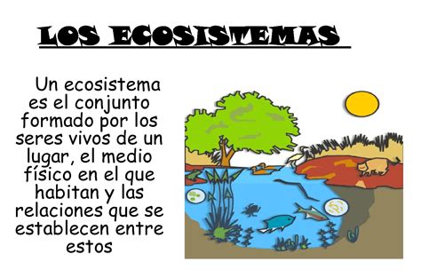 Maestro San Blas: Ecosistemas