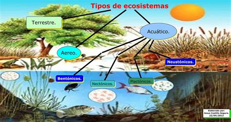Maestro San Blas: Ecosistemas
