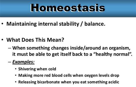 Maintaining Homeostasis in the Human Body [Can CBD Have an ...