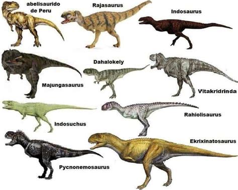 Majungasaurus, el depredador con cuerno – Dinosaurios