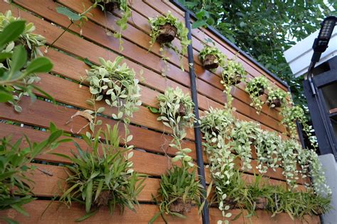 Make Indoor Vertical Gardening Convenient and Fun   Garden ...
