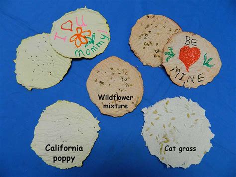 Make seed paper | NASA Climate Kids