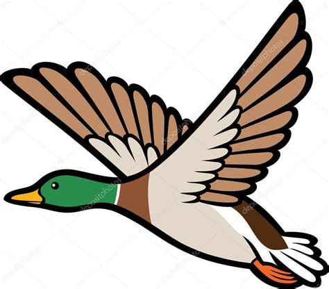 Mallard duck flying — Stock Vector  Tribaliumivanka #29545813