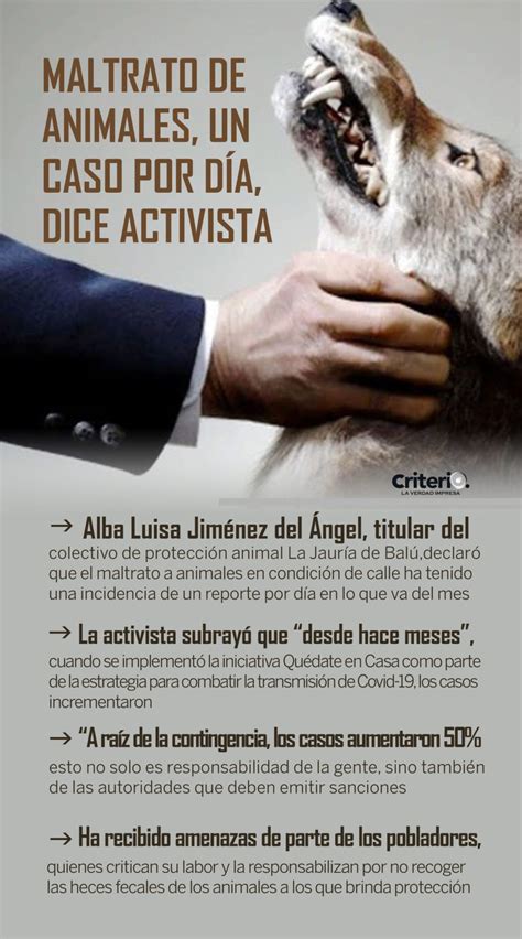Maltrato de animales, un caso por día, dice activista  Criterio Hidalgo