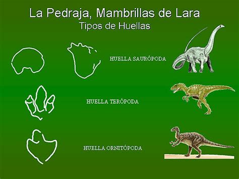 Mambrillas Informe sobre el yacimiento de Mambrillas | dinosaurios ...