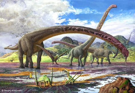 Mamenchisaurus   Facts and Figures