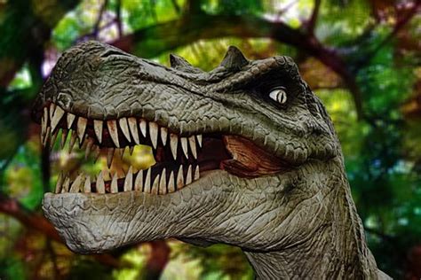 Mammals started sleeping at night after dinosaurs went ...