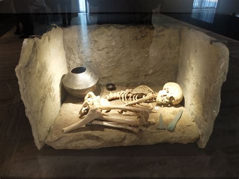 MAN. Enterramiento prehistórico. | Museos de madrid, Prehistórico ...