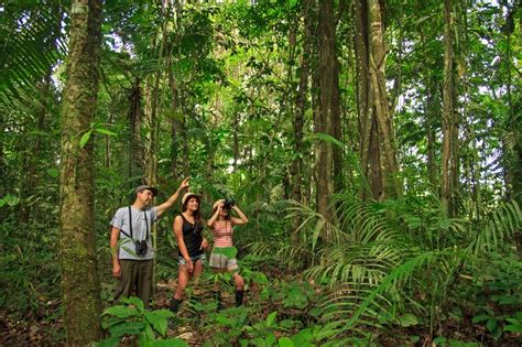 Manatee Amazon Explorer | Ecuador Amazon Rainforest