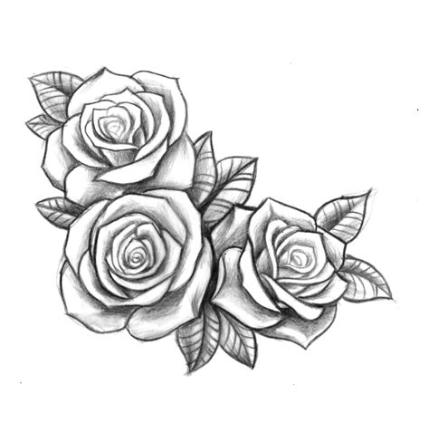 Mannapedia: Tattoo Rose Dessin