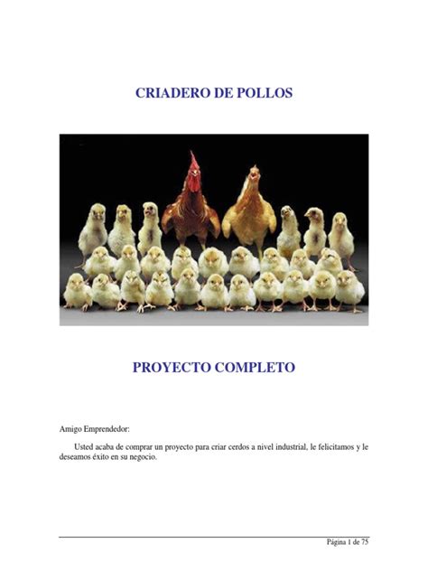 Manual Cria de Pollos de Engorde