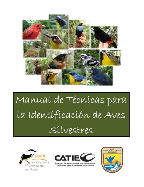 Manual de identificacion aves silvestres by Emy J. Riquero   Issuu