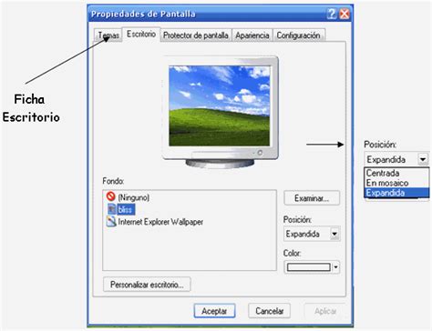 Manual de Windows XP  página 2    Monografias.com