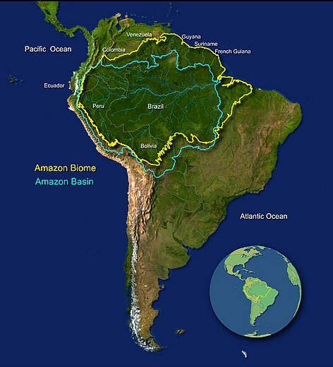 Map Of The Amazon Rainforest | IT Support Professionals in ...