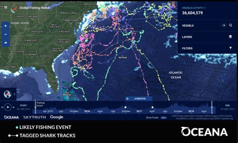 Map shows where commercial fishing could be killing sharks ...