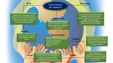 Mapa conceptual c. ambiente i