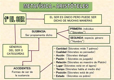Mapa Conceptual De La Metafisica De Aristoteles   slingo
