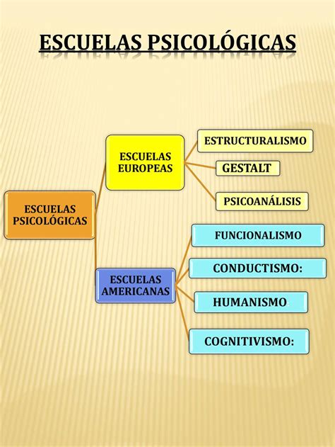 Mapa conceptual de psicología ¡Guía paso a paso!