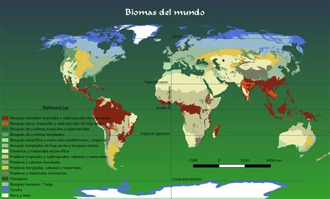 Mapa de biomas del mundo – Tercer espacio