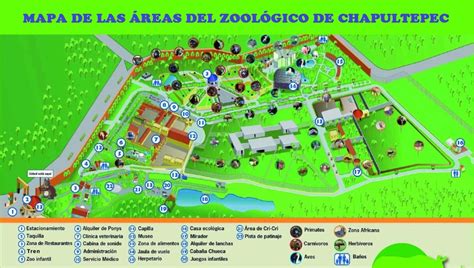 MAPA INTERNO DEL ZOOLOGICO   Zoológico de Chapultepec