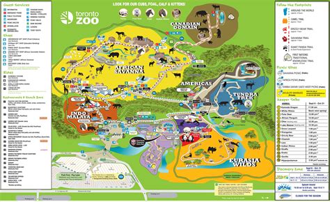 Mapa zoo w Toronto   mapę zoo w Toronto  Kanada