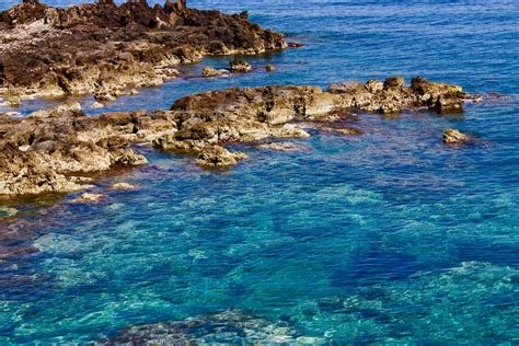 mar mediterraneo ambiente | Liguria Business Journal