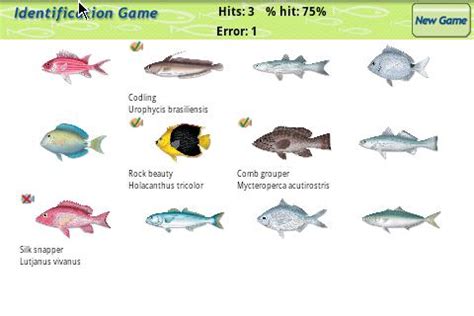 Marine Fishes   ID Guide Free Download   caranx.guiapeixes.gb