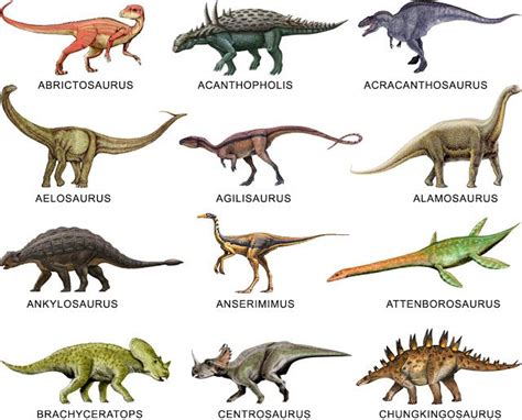 Más de 25 ideas increíbles sobre Nombres de dinosaurios en Pinterest ...