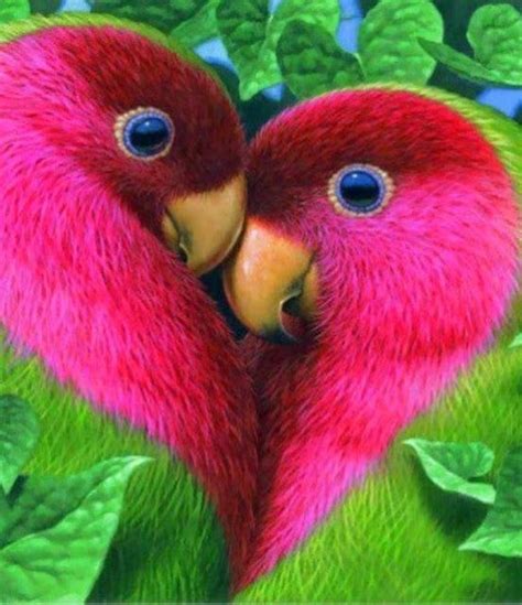 Más de 25 ideas increíbles sobre Pájaros hermosos en Pinterest
