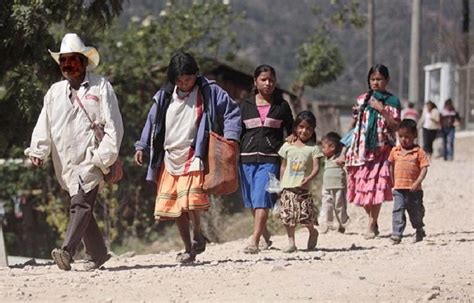 Más de 800 familias huyen de pueblos de Guerrero ante la violencia de ...