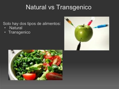 Más información de los alimentos transgénicos y organicos, a favor y en ...