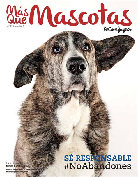 Más que mascotas by Ofertas Supermercados   Issuu