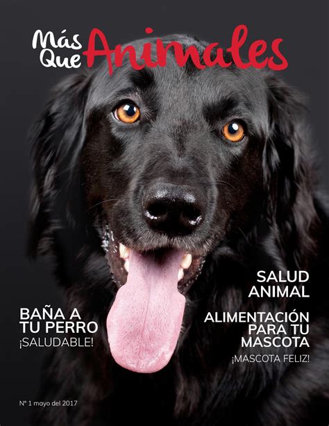 Más Que Mascotas   Revista by Antonio Romero   Issuu