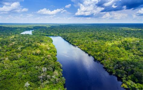 Más que pulmón, el Amazonas es puro corazón