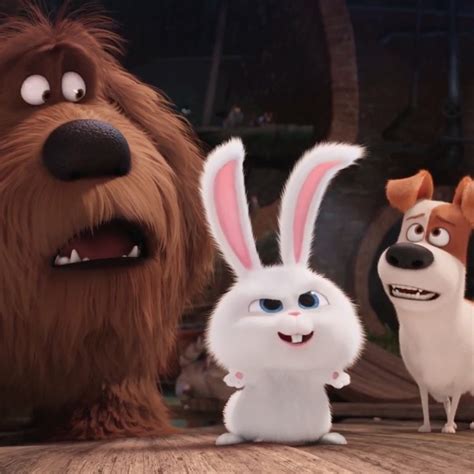 Mascotas  ya tiene nuevo y divertido tráiler en español   eCartelera