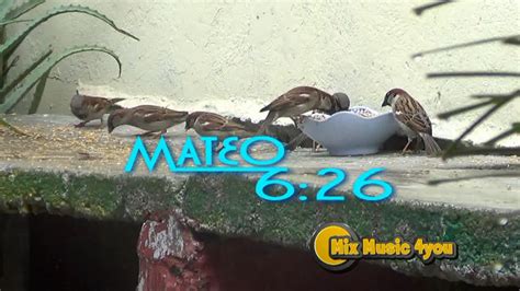 MATEO 6 26 Si Dios alimenta a las aves que no hará por ...