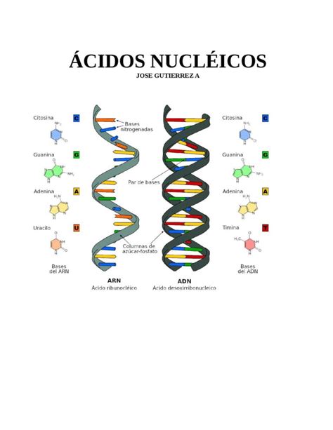 Materiales Genéticos: ácidos nucleicos ADN Y ARN. – Ciencias Naturales