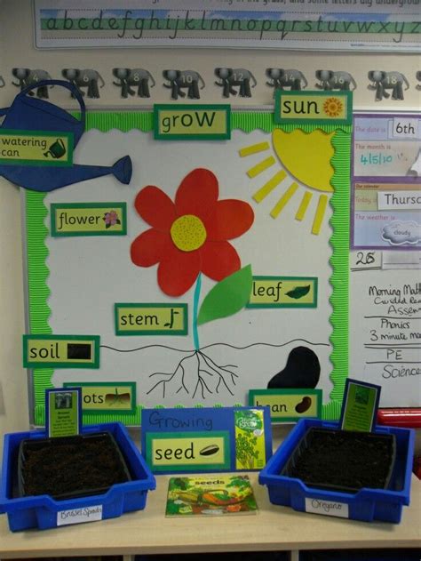 Materiales y actividades para Maestros: Plantas | Kindergarten ...