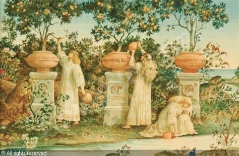 meacci ricciardo 1856 ca 1900 the garden of hesperides ...