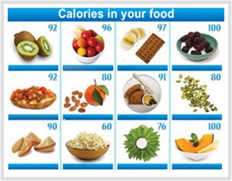 Meal Planner | Food Planner   HealthyLife