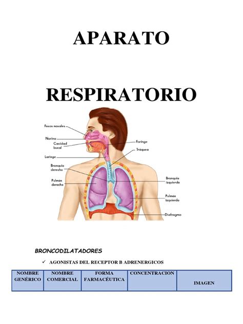 Medicamentos Aparato Respiratorio | PDF | Asma | Compuestos orgánicos