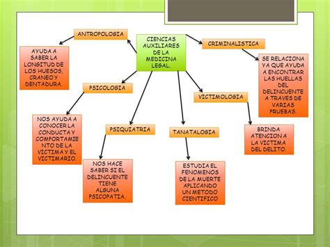 MEDICINA LEGAL : mapa conceptual CIENCIAS AUXILIARES