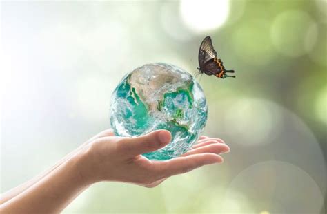Medio ambiente: 8 apps para cuidar el planeta | Publimetro ...