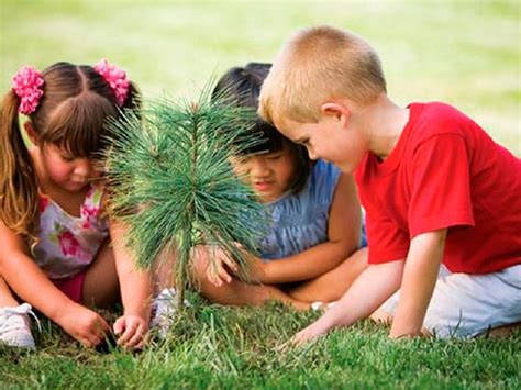 Medio Ambiente: enséñale a tus hijos a proteger la ...