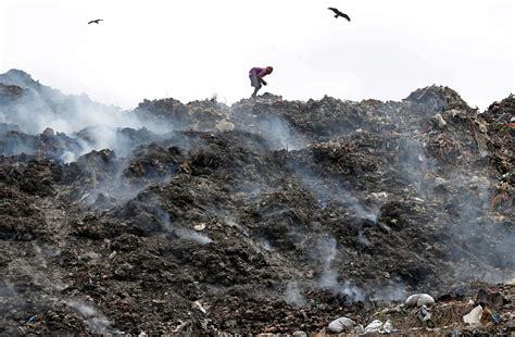 Medio Ambiente: La FAO alerta de la grave contaminación ...